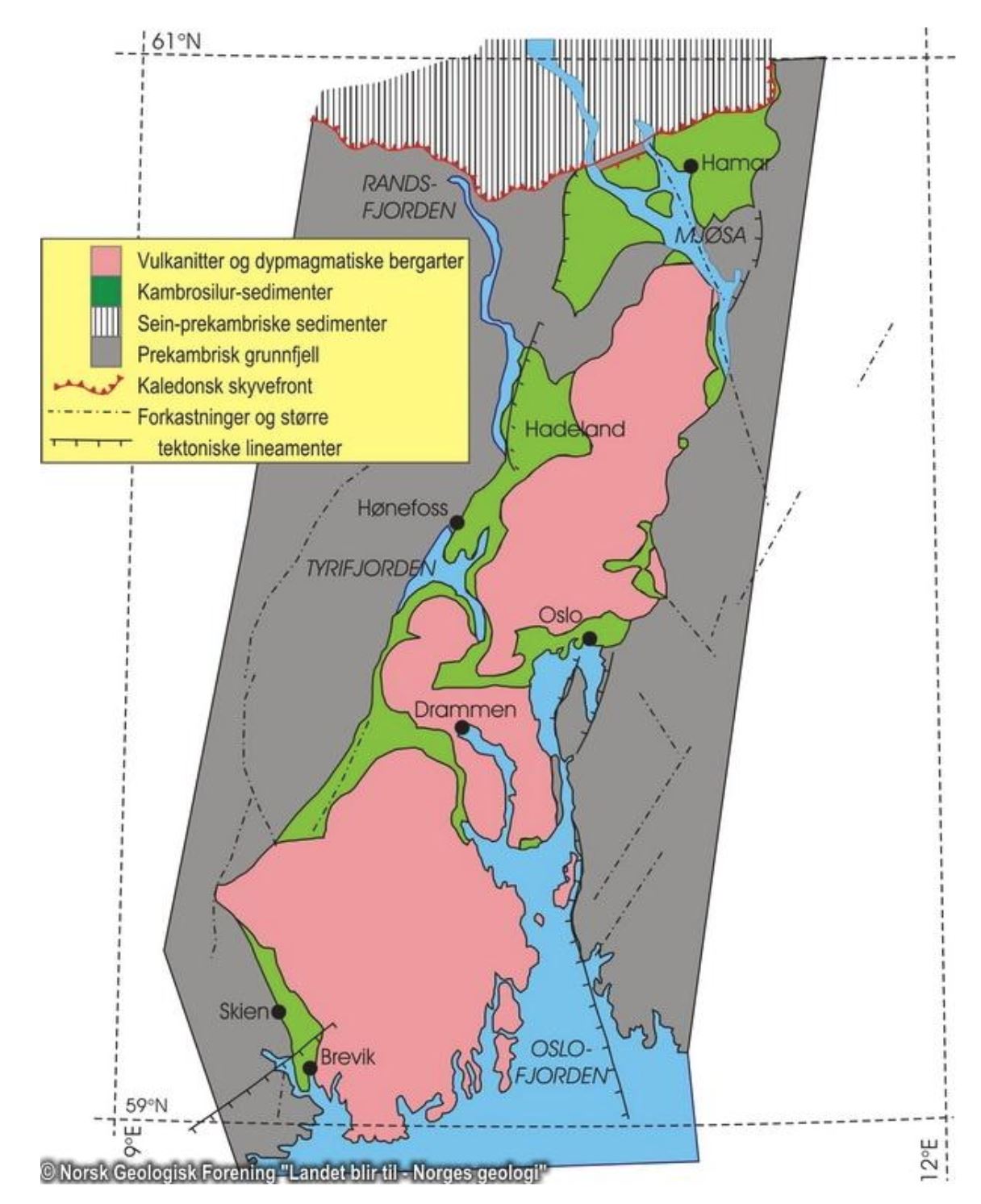 Området ligger som en grøft
mellom mer enn 1000 millioner
år gamle grunnfjellsbergarter.
De grønne lagene som strekker
seg fra Brevik i sør til Ringsaker
i nord, består av deformerte
lagdelte bergarter med aldre
fra 500 til 420 millioner år.
Bergartene markert i rødt består
av størknede dypbergarter
og lavaer. Disse ble dannet i
Permtiden for ca. 250 millioner
år siden. Illustrasjonen er
hentet fra Landet blir til, Norsk
geologisk forening, av Ramberg,
I. mfl.